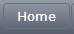 homeButton.PNG